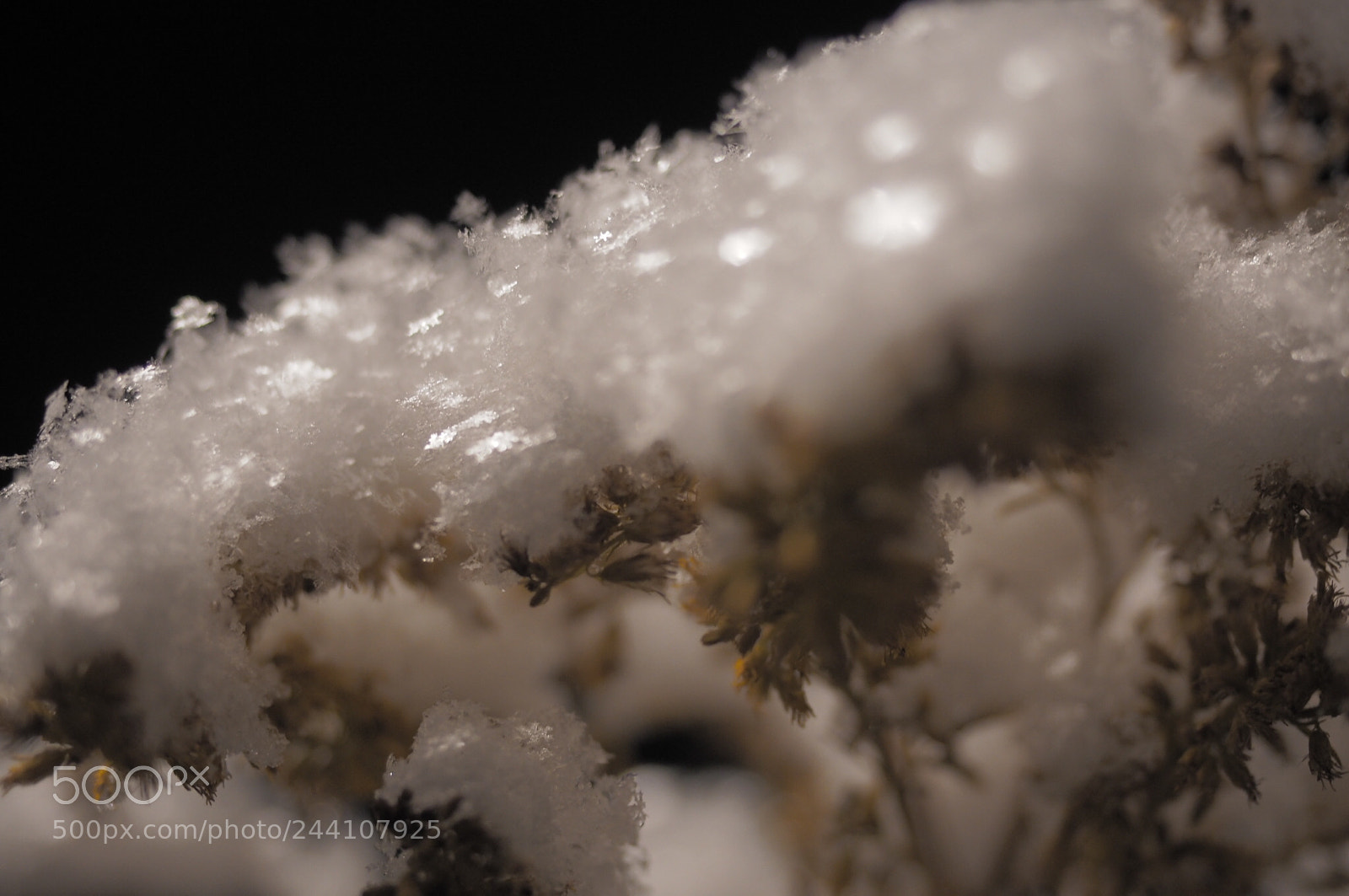 Olympus OM-D E-M10 II sample photo. Snowflakes photography