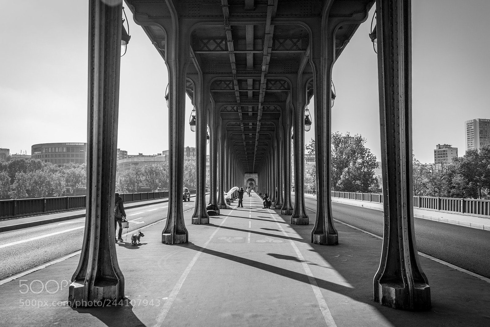 Canon EOS 550D (EOS Rebel T2i / EOS Kiss X4) sample photo. Paris pont de bir-hakeim photography