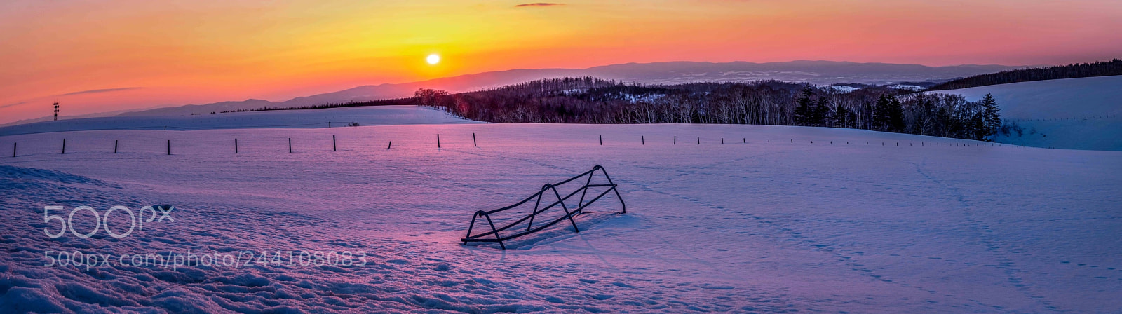 Olympus OM-D E-M5 II sample photo. Photo in biei photography