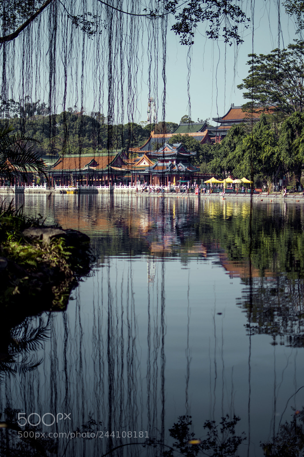Nikon D7100 sample photo. Untitled photography
