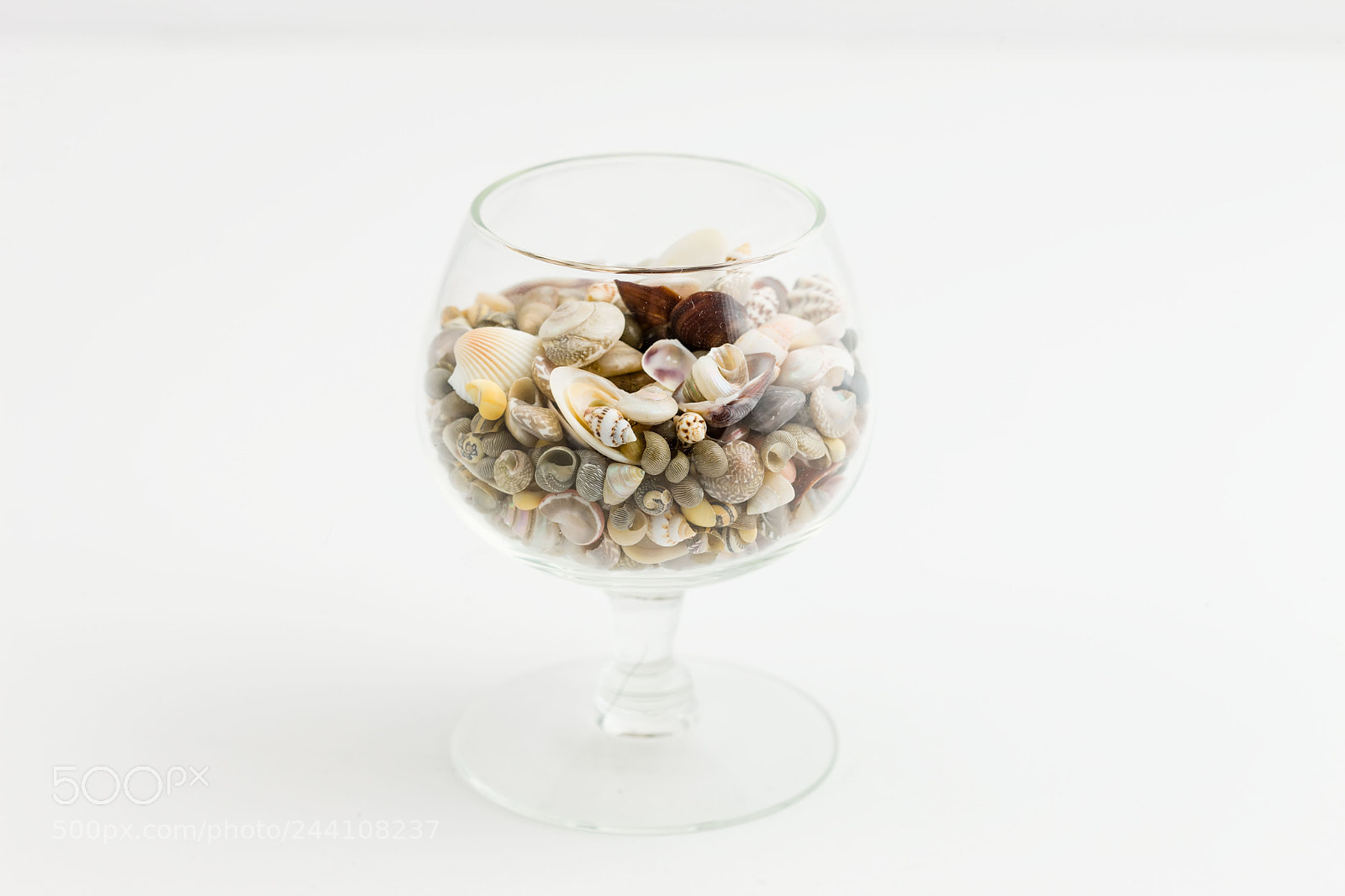 Canon EOS-1Ds Mark III sample photo. Small sea shells in photography