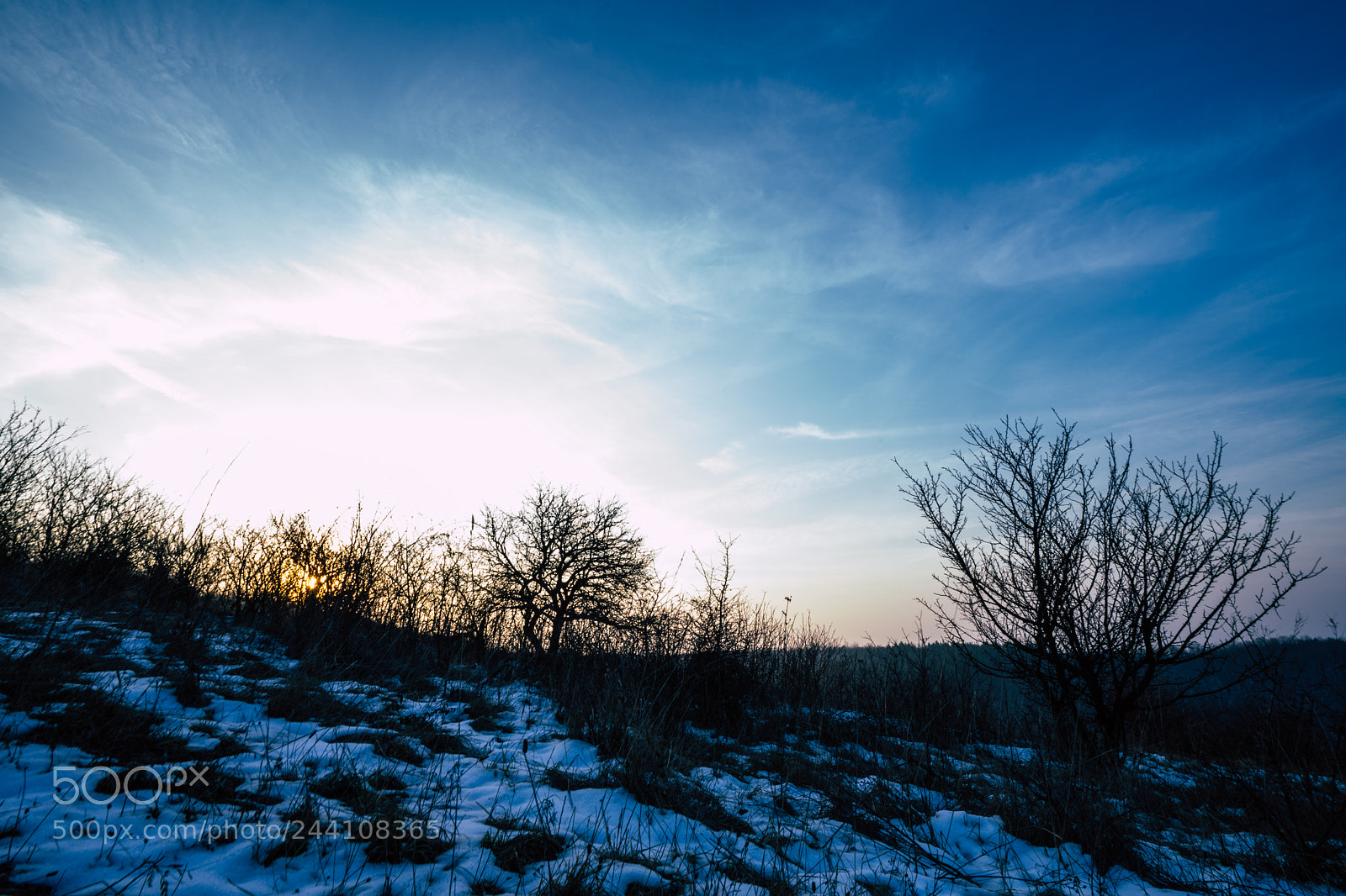 Sony a7 sample photo. A3 photography