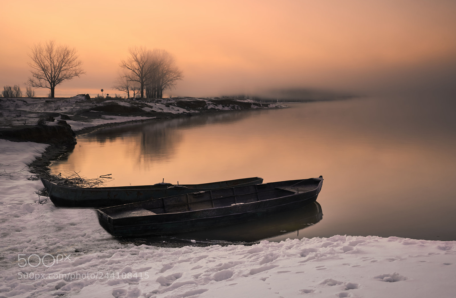 Sony a7R III sample photo. Dsc photography