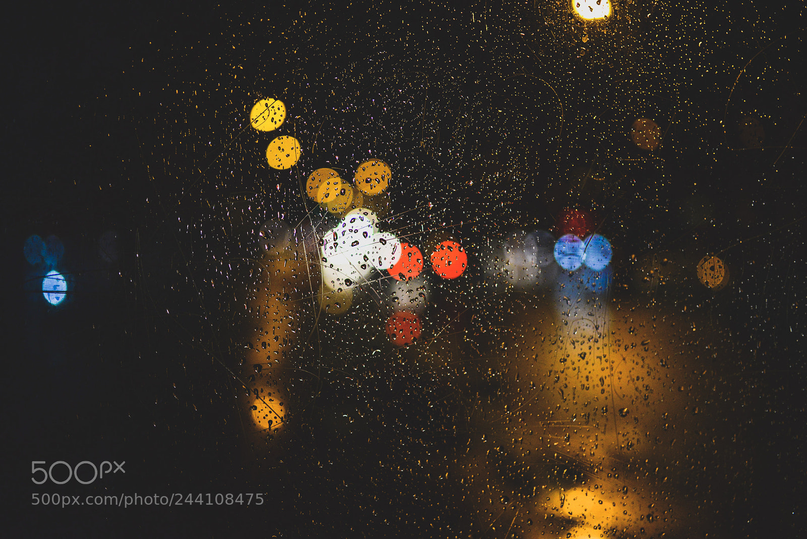 Nikon D610 sample photo. Rain and bokeh photography