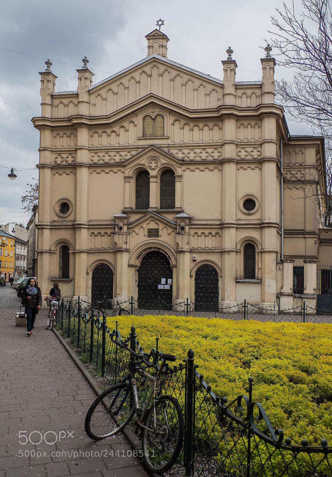 Olympus OM-D E-M1 Mark II sample photo. Olympus digital camera photography