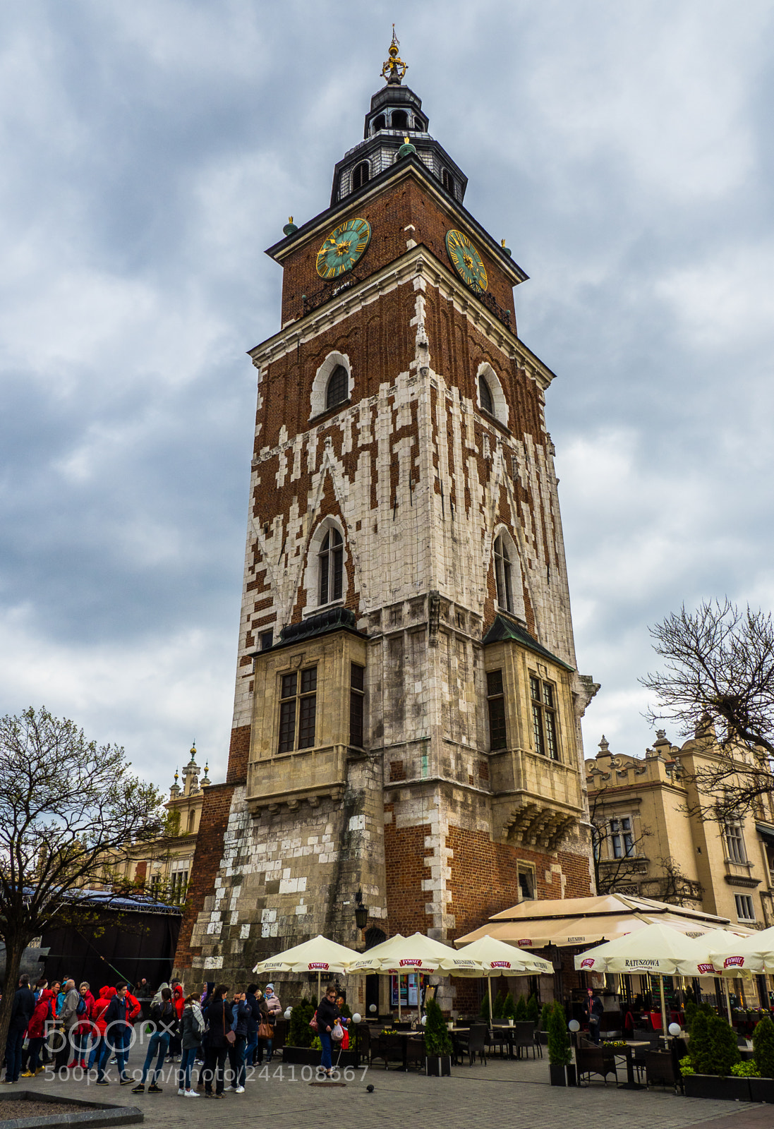 Olympus OM-D E-M1 Mark II sample photo. Olympus digital camera photography