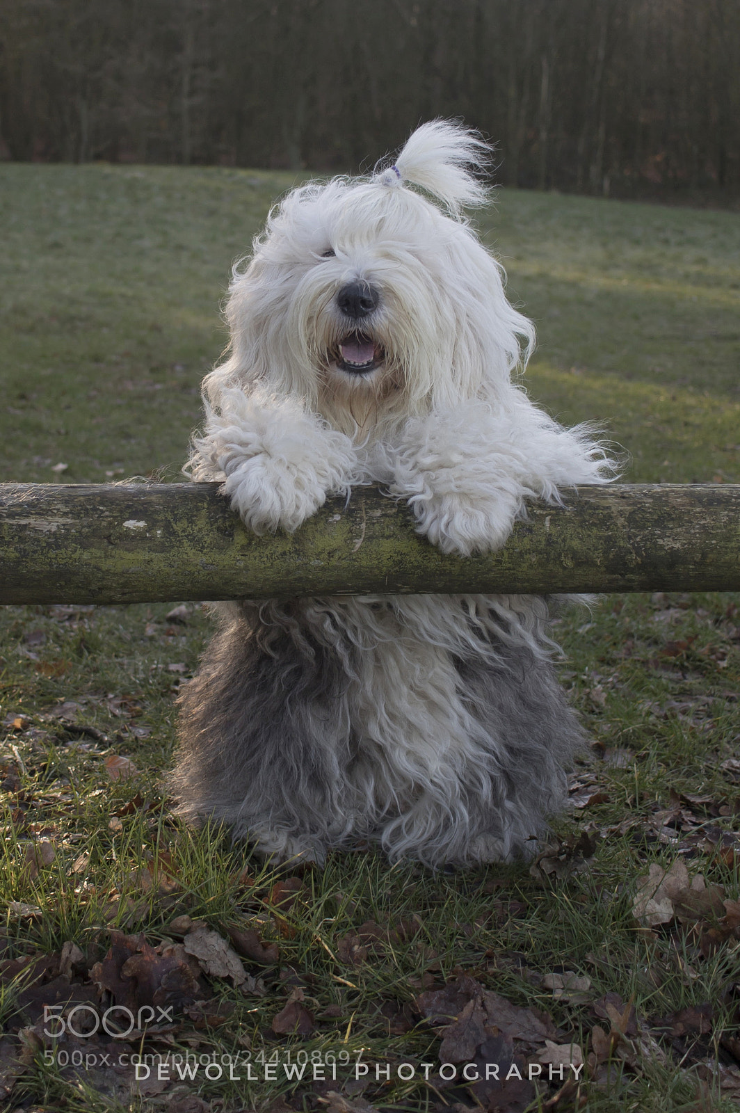 Canon EOS 7D Mark II sample photo. Hi... photography