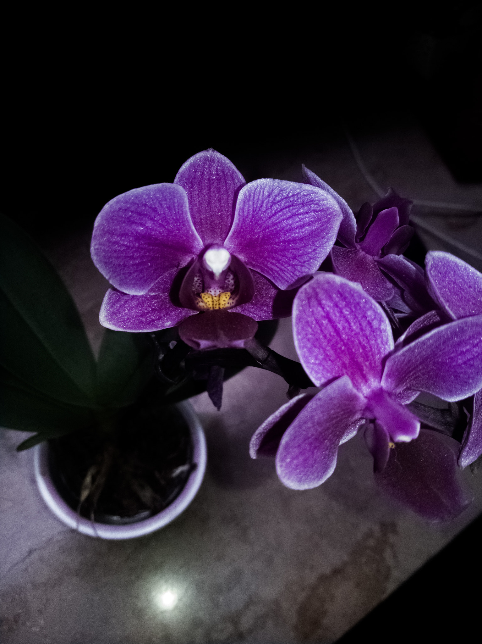 ASUS ZenFone 4 Selfie Pro (ZD552KL) sample photo