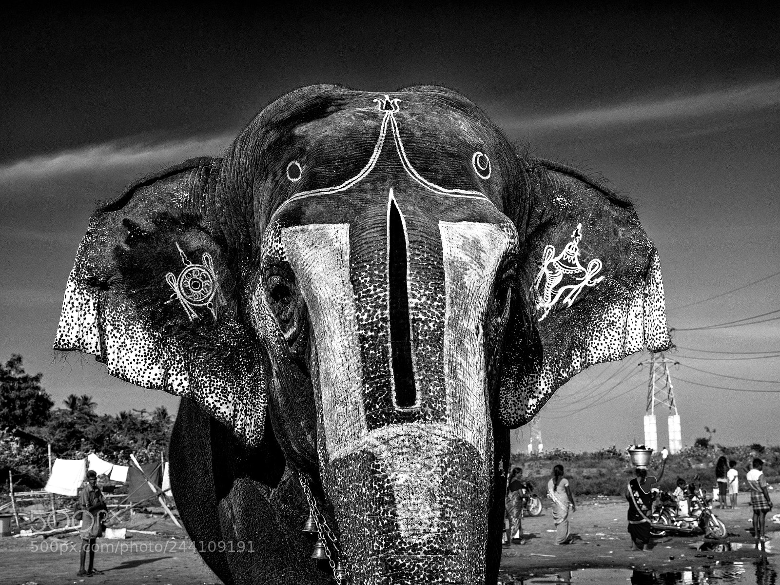 Fujifilm GFX 50S sample photo. Aanadal the temple elephant photography