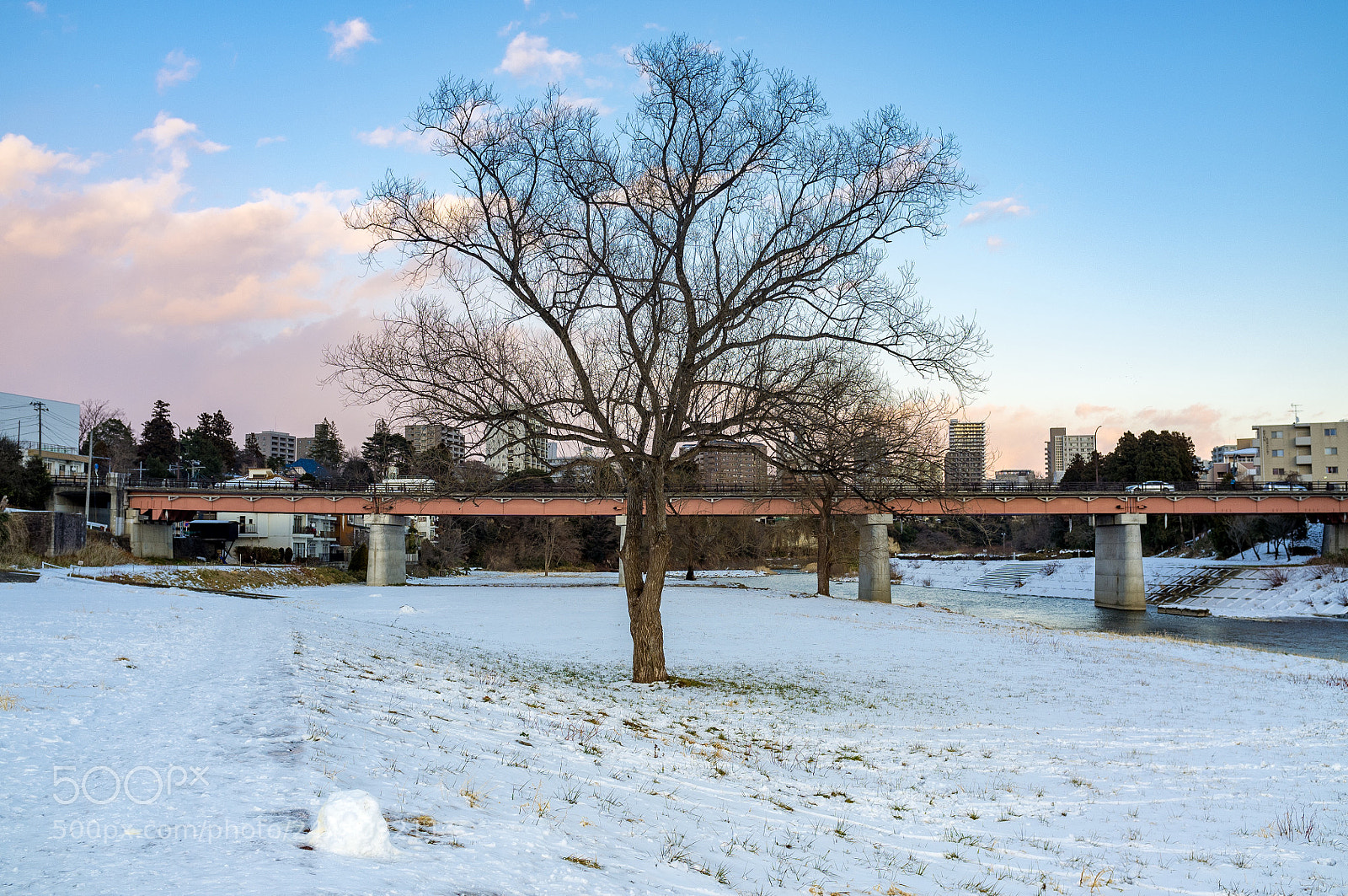 Fujifilm FinePix X100 sample photo. The tree and snow photography