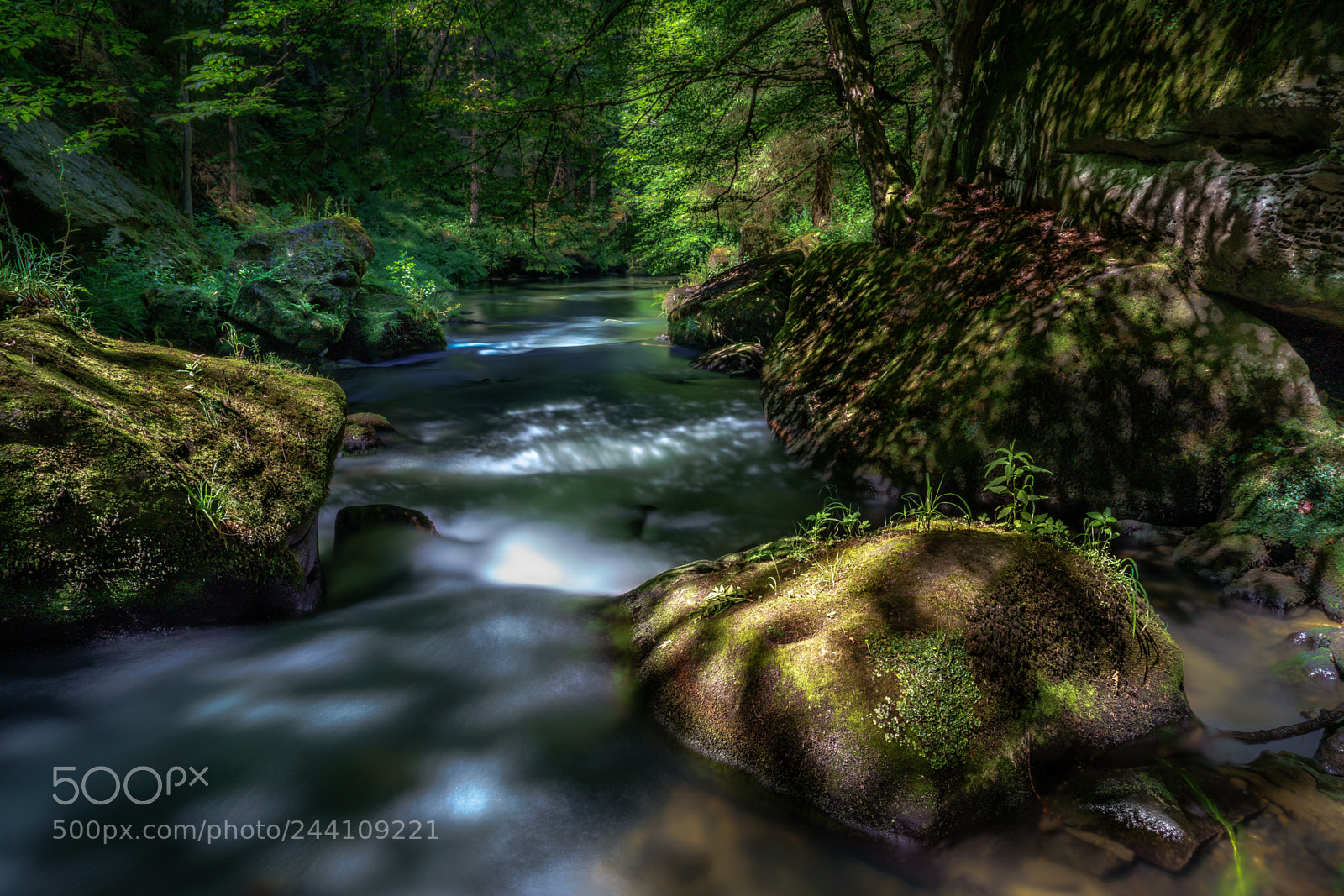 Sony a7 II sample photo. Balsam f r die photography