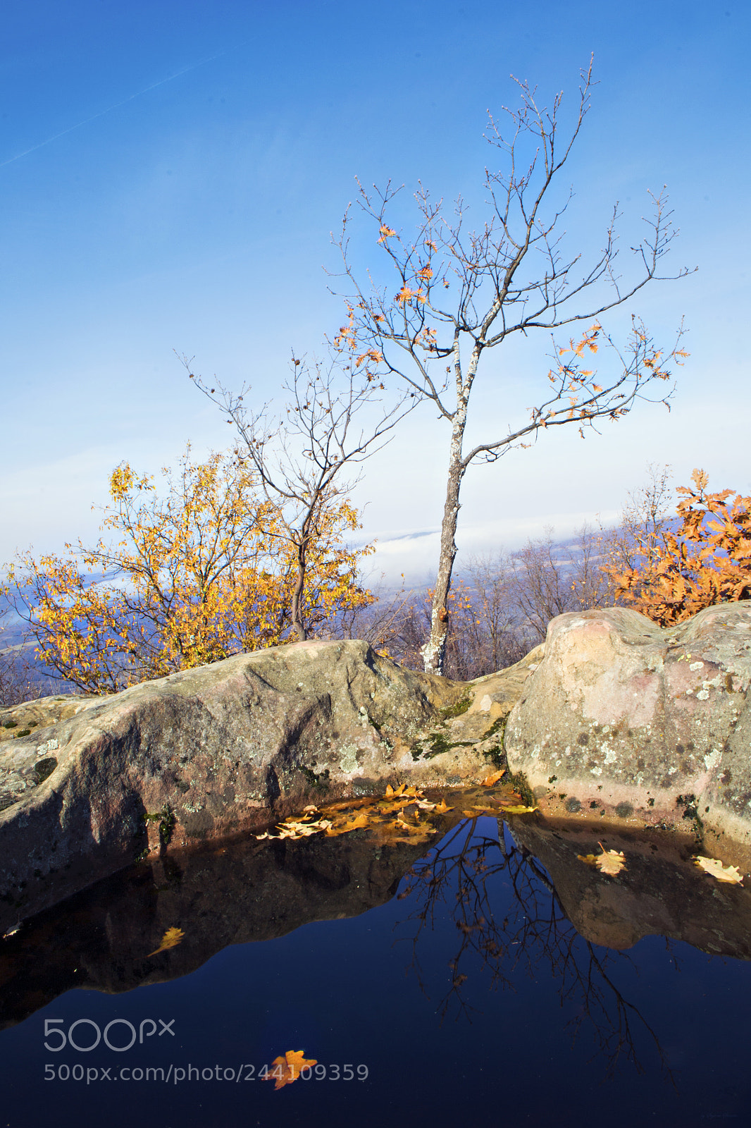 Nikon D3100 sample photo. Distortion photography