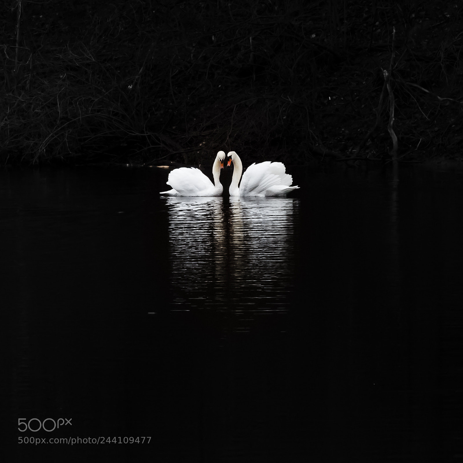 Canon EOS 550D (EOS Rebel T2i / EOS Kiss X4) sample photo. Frühlingsgefühle photography