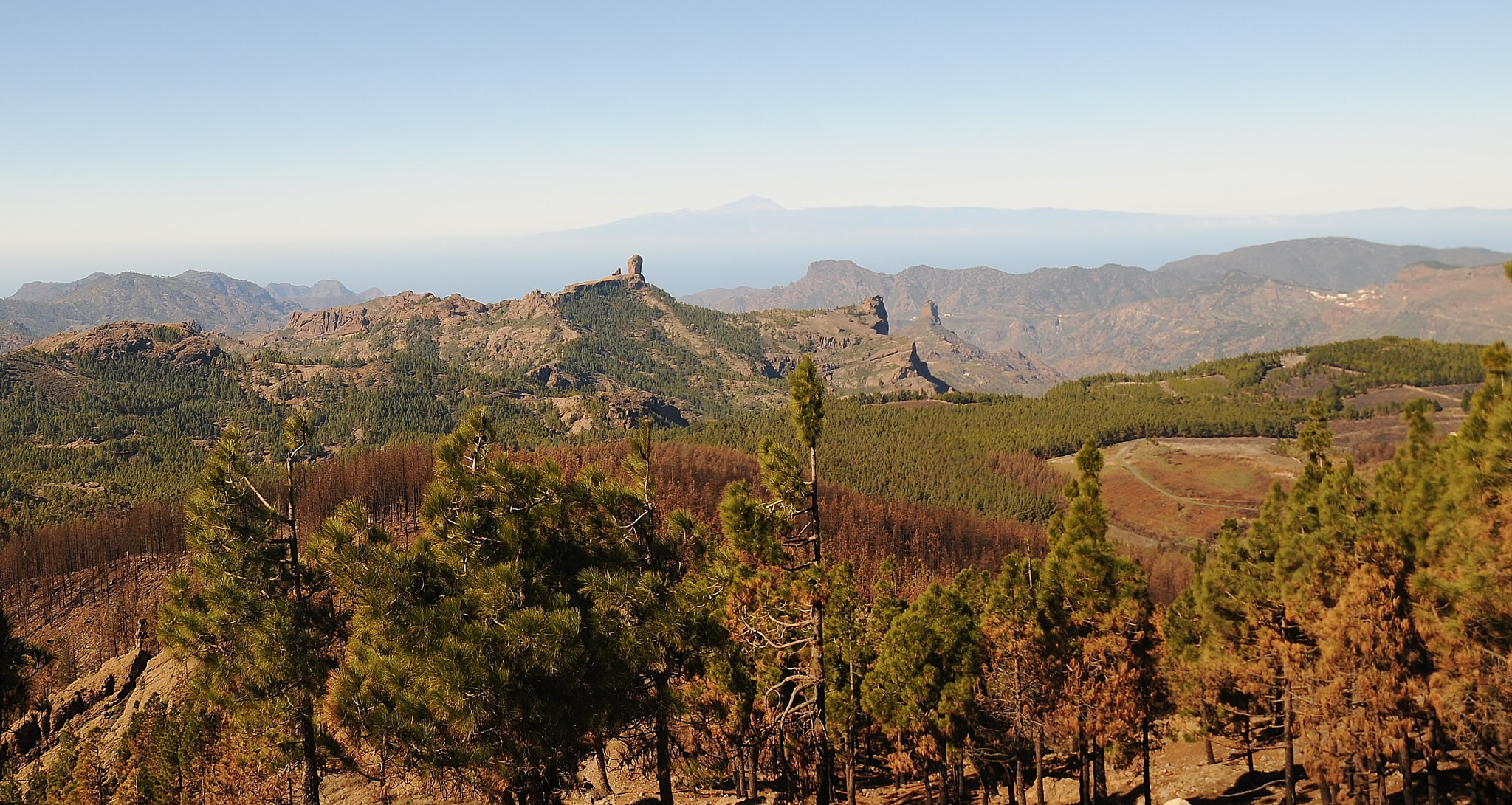 Nikon D300 sample photo. Mitten in gran canaria photography