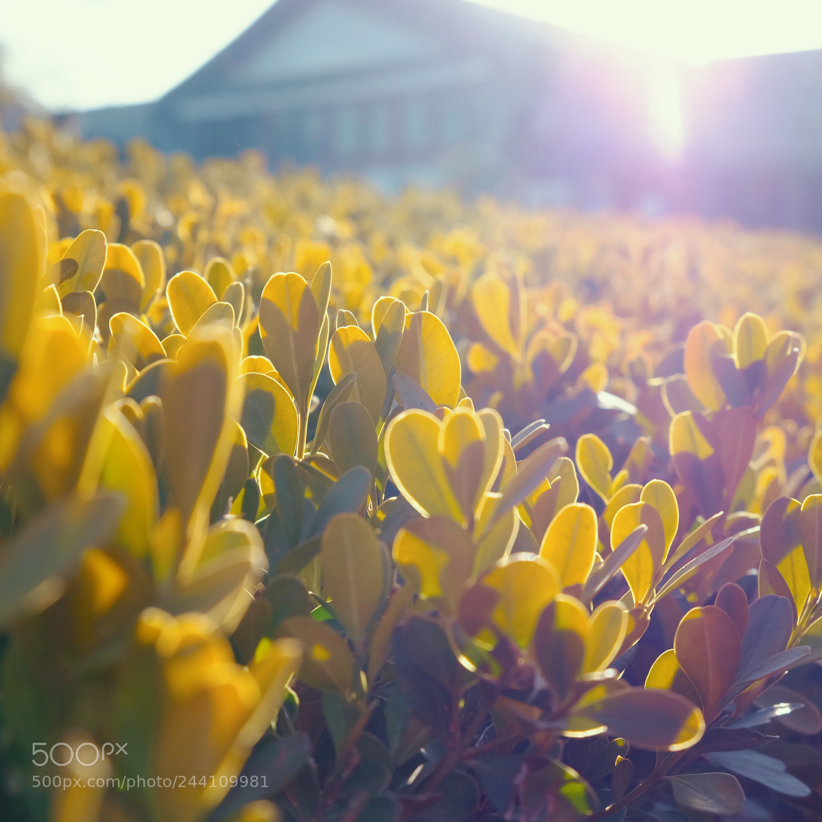 Fujifilm X-A2 sample photo. Untitled photography