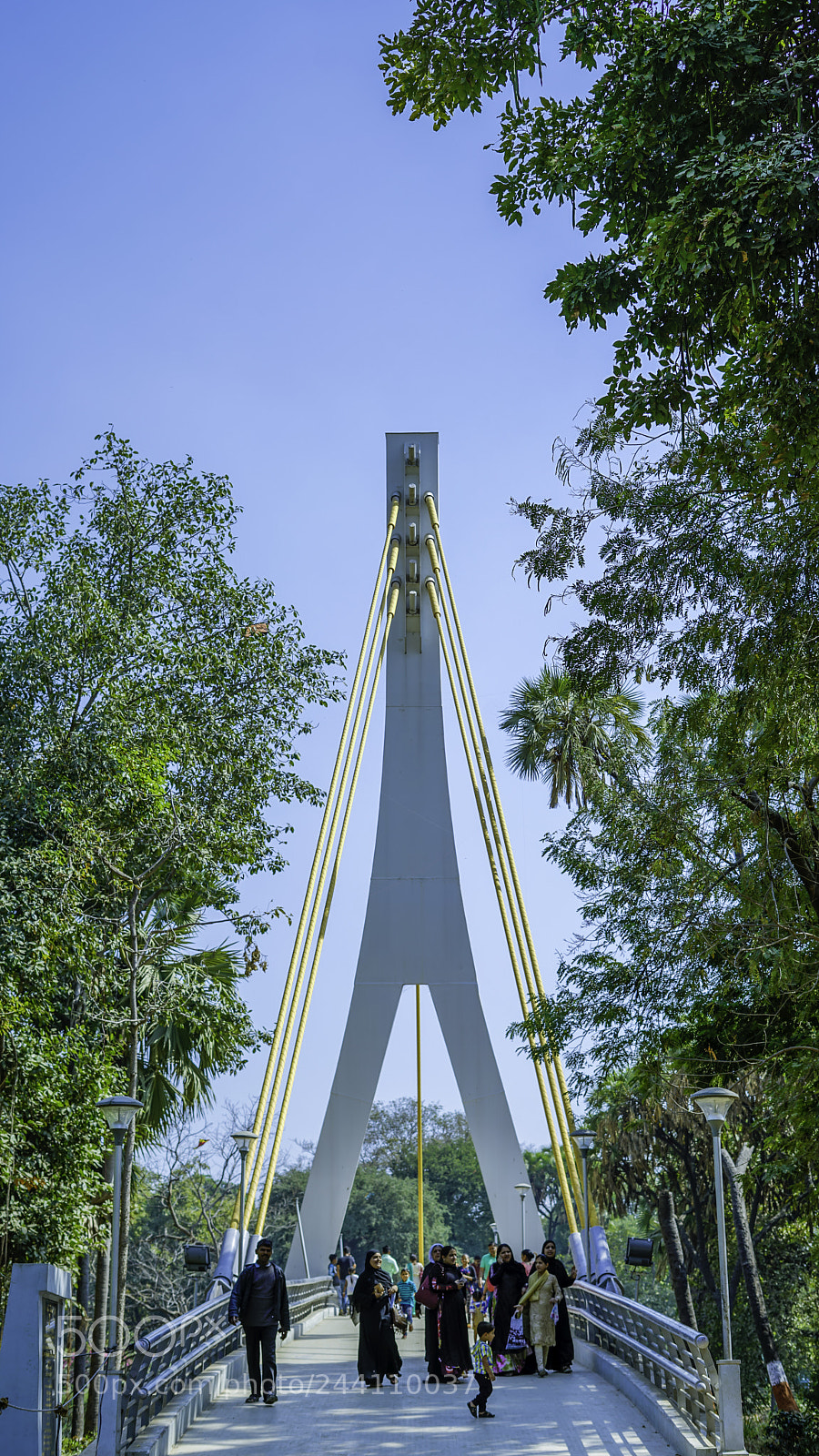 Sony a7R II sample photo. Cable bridge front photography