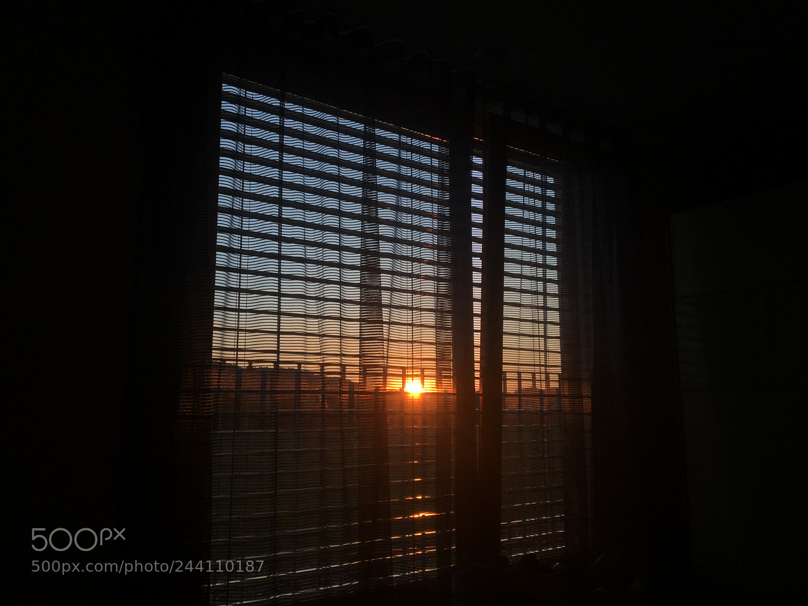 Apple iPhone 6s sample photo. Looking out my window photography