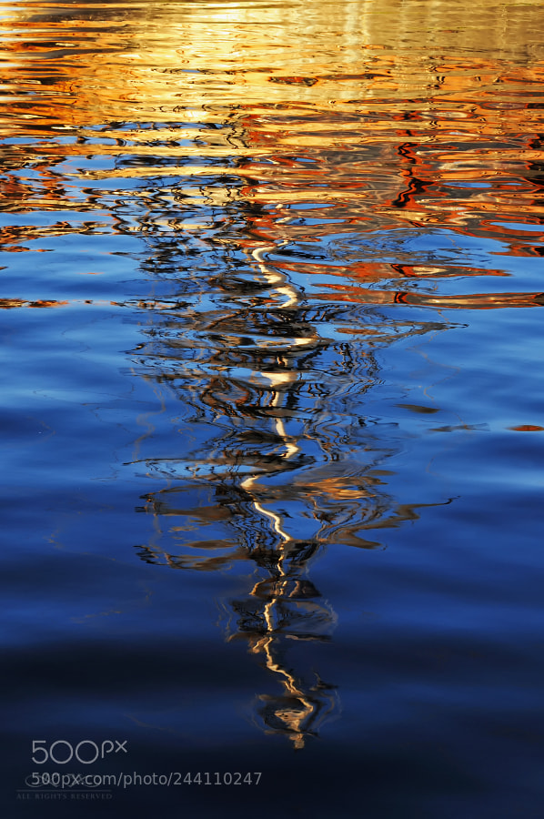 Nikon D300S sample photo. Reflections photography