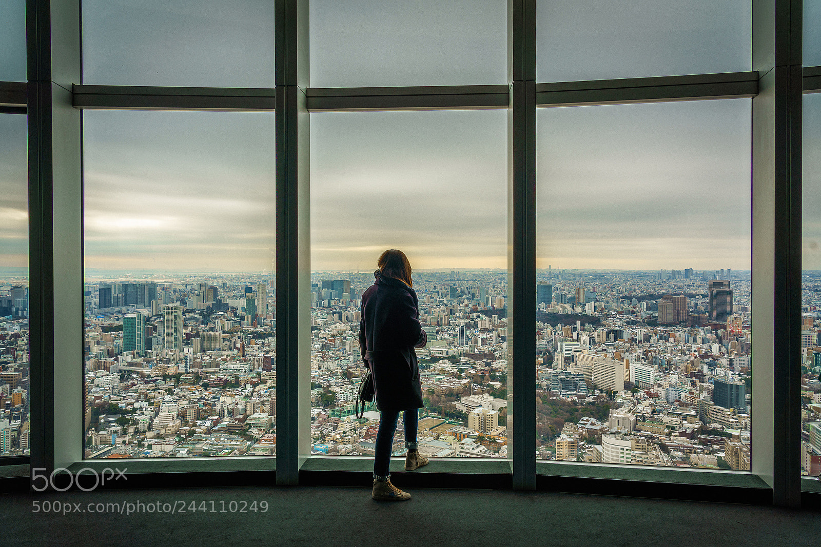 Sony a7R III sample photo. Tokyo moody view from photography