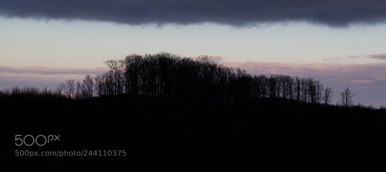 Canon EOS 1300D (EOS Rebel T6 / EOS Kiss X80) sample photo. Silhouette of trees photography
