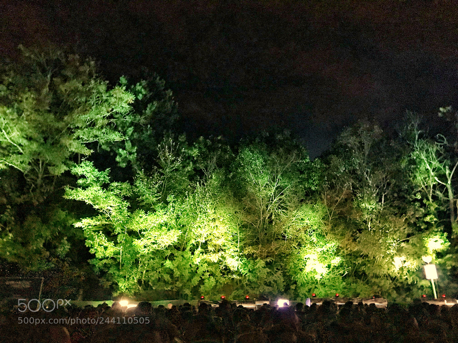 Apple iPhone 7 Plus sample photo. Greenish scenery photography