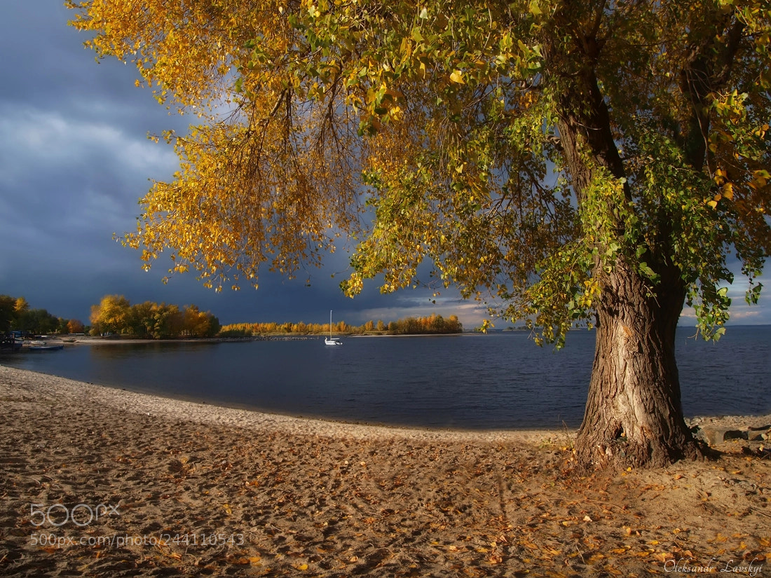 Olympus E-3 sample photo. Golden autumn photography