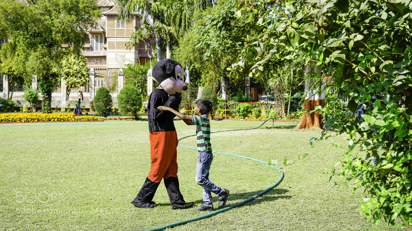 Sony a7R II sample photo. Micky and friend photography