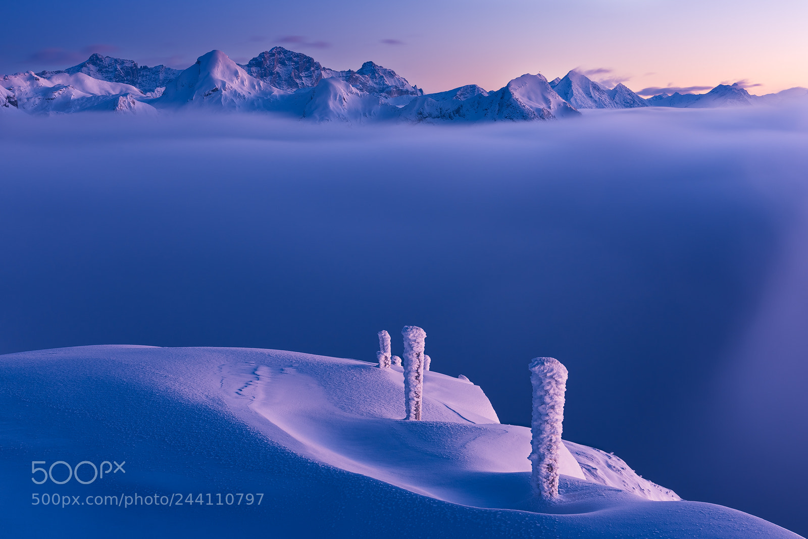 Nikon D810 sample photo. Winter love photography