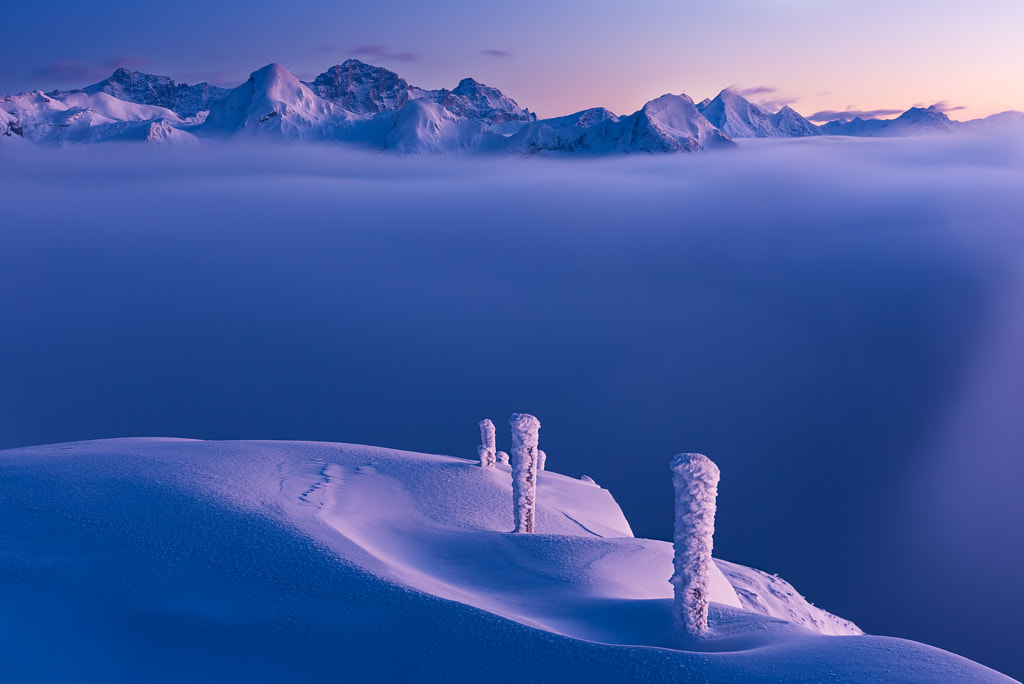 Winter Love, автор — Tobias Ryser на 500px.com