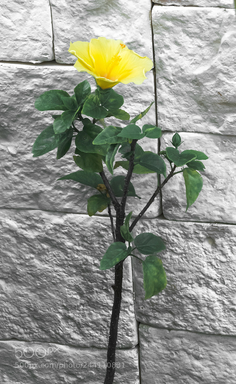 Panasonic Lumix DMC-FZ1000 sample photo. Tonal contrast photography