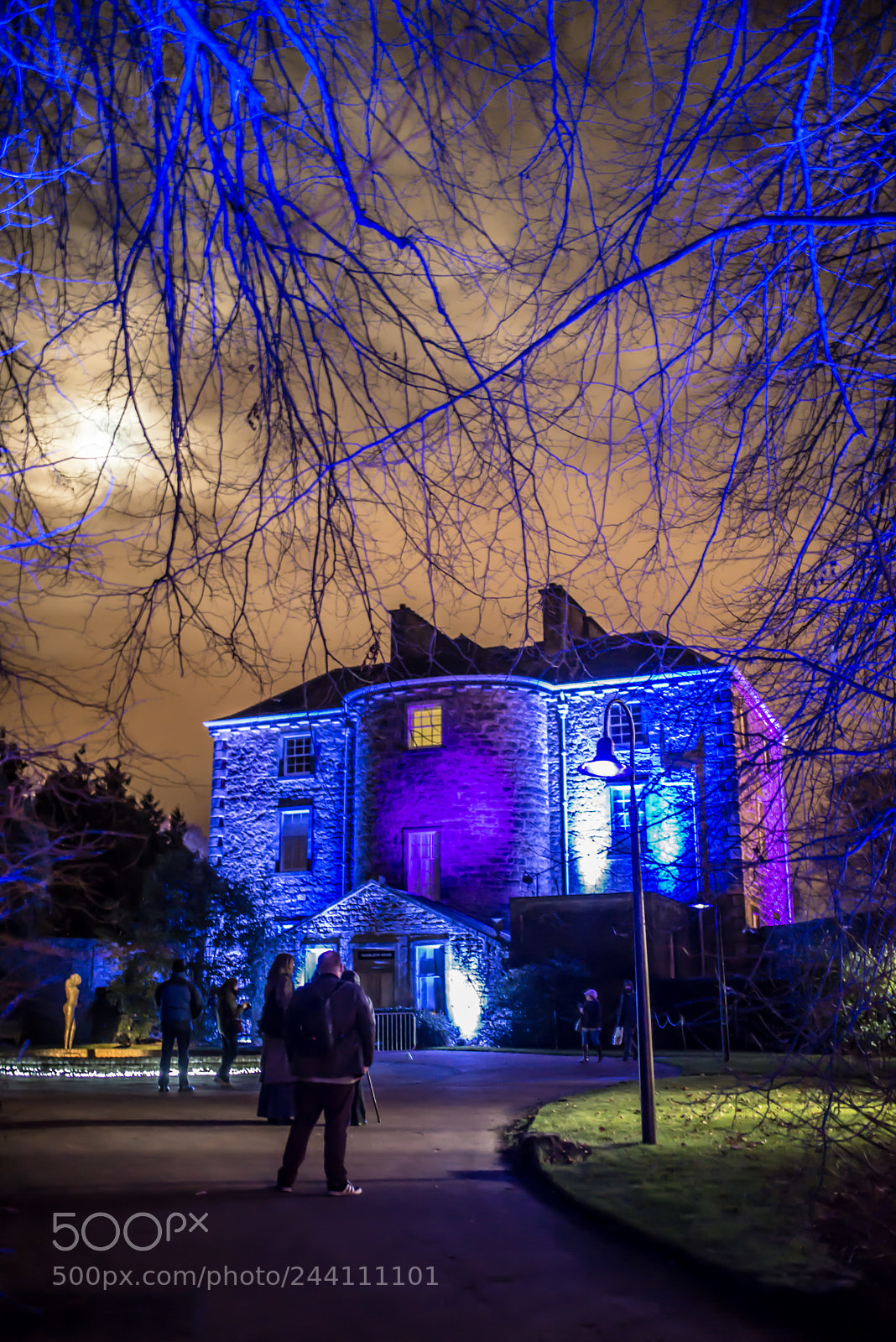 Nikon D610 sample photo. Luminous night photography