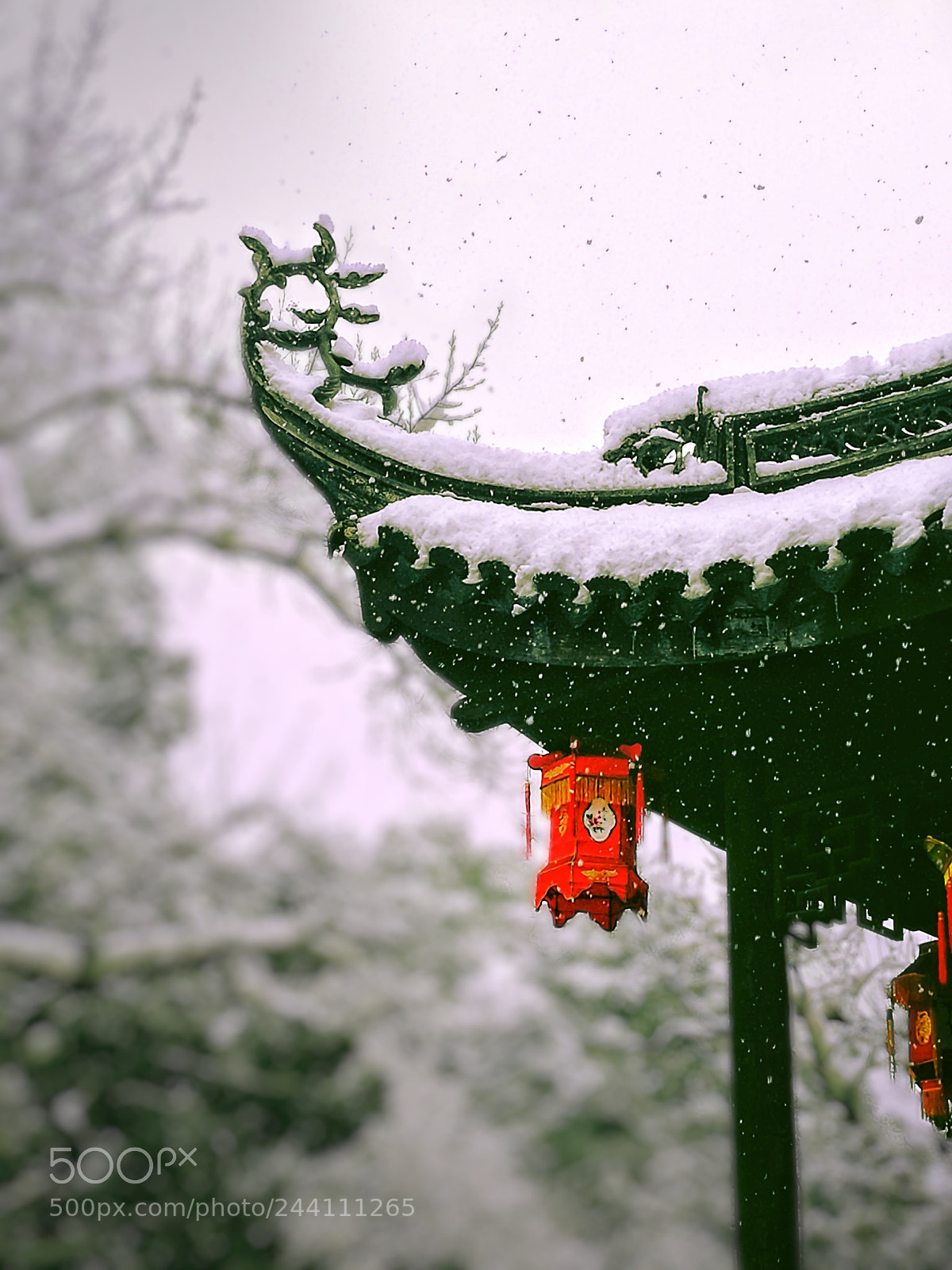HUAWEI P9 sample photo. 江南雪 photography