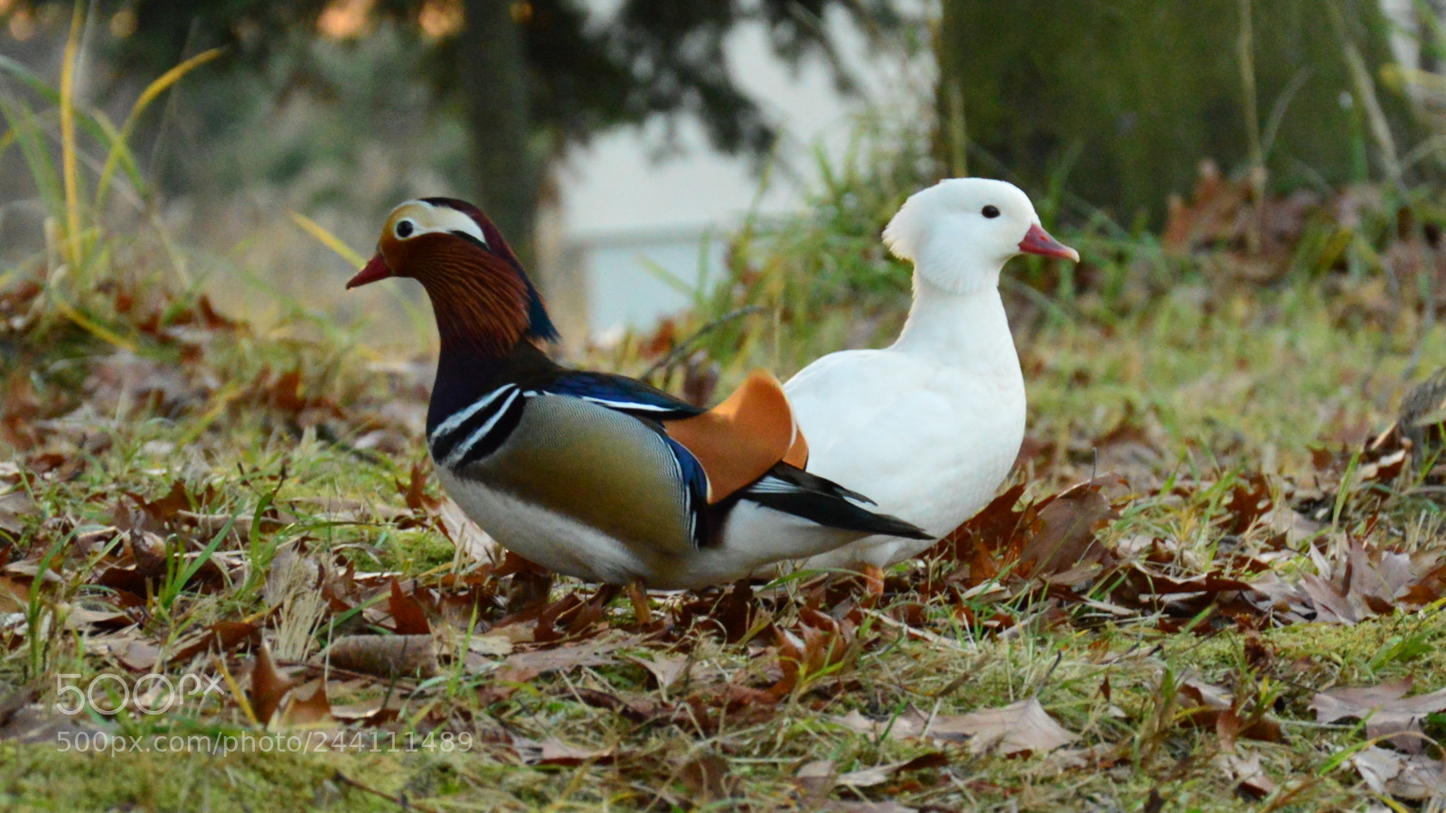 Nikon D3200 sample photo. Csc photography