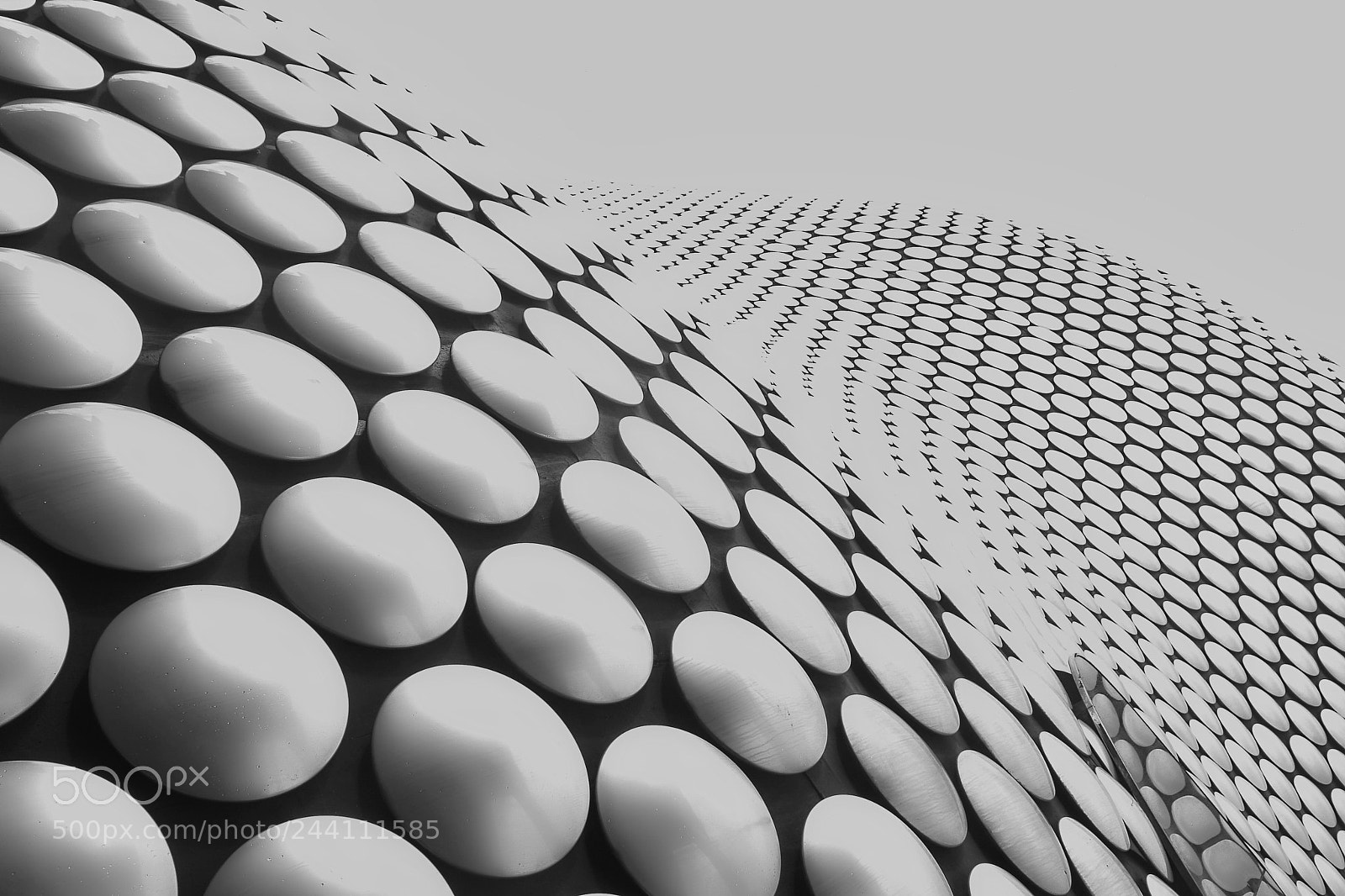 Sony DSC-R1 sample photo. Patterns photography