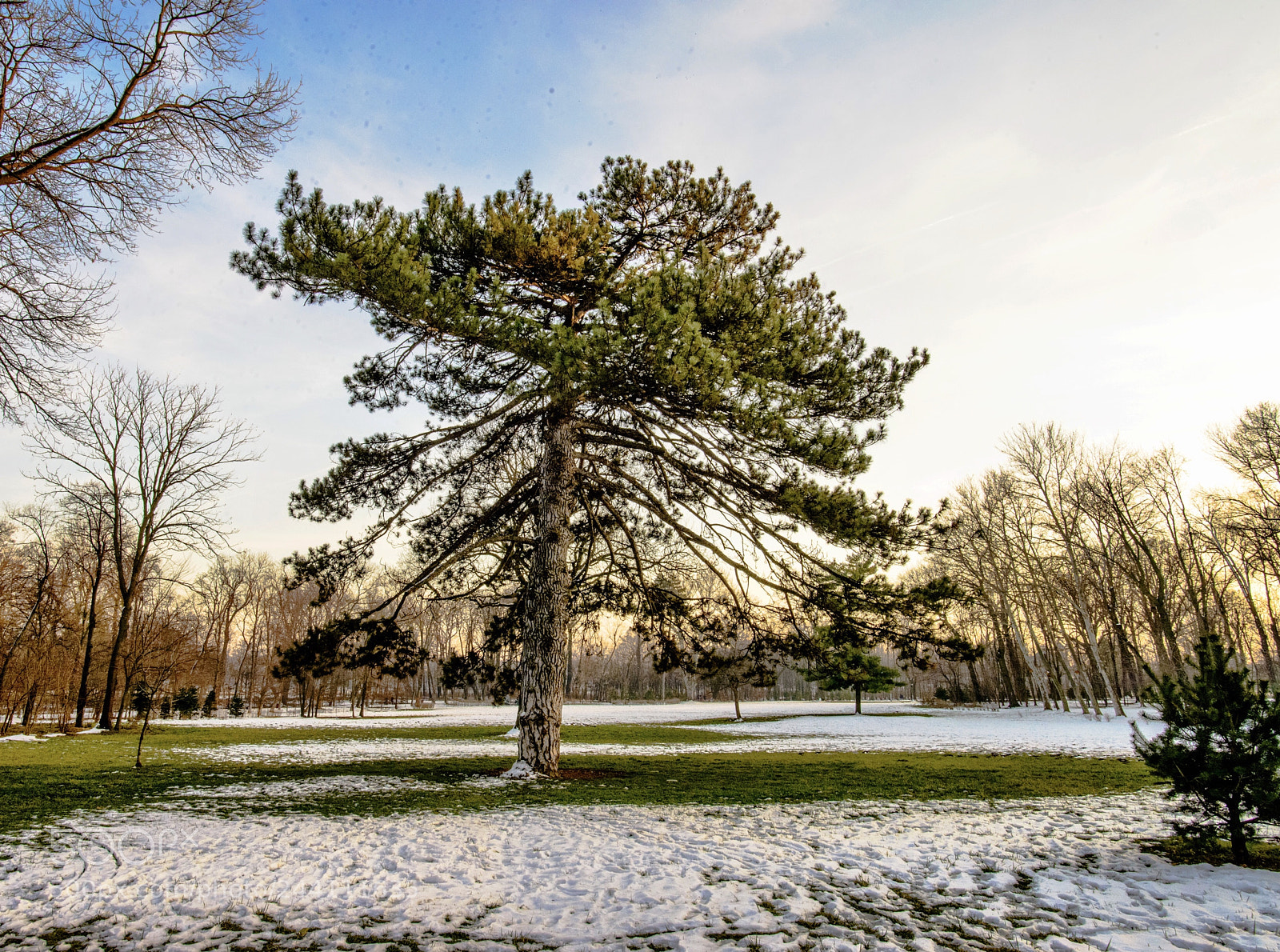 Nikon D800 sample photo. Panorama of a beautiful photography