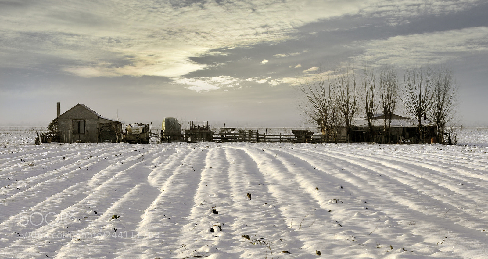 Nikon D7200 sample photo. Homestead photography