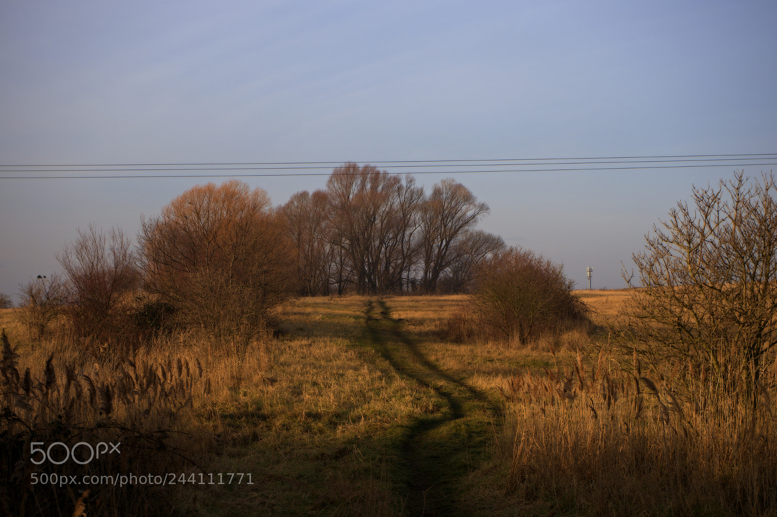 Sony a7 sample photo. Route in meadow photography