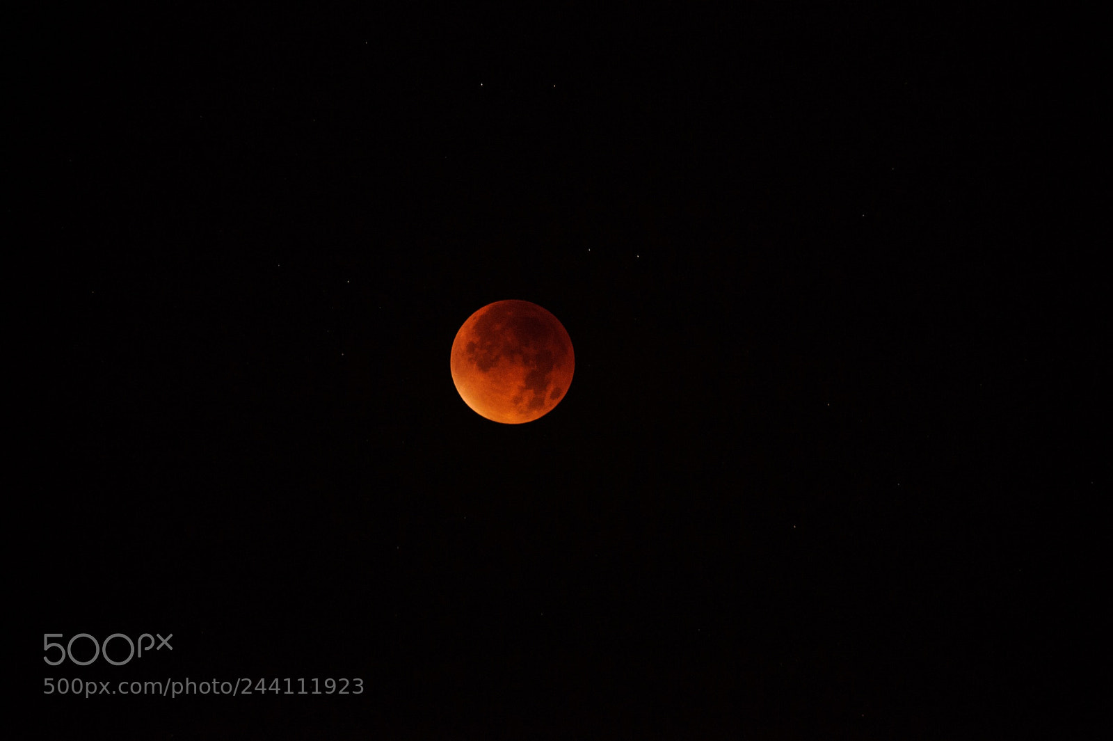 Nikon D3S sample photo. Untitled photography
