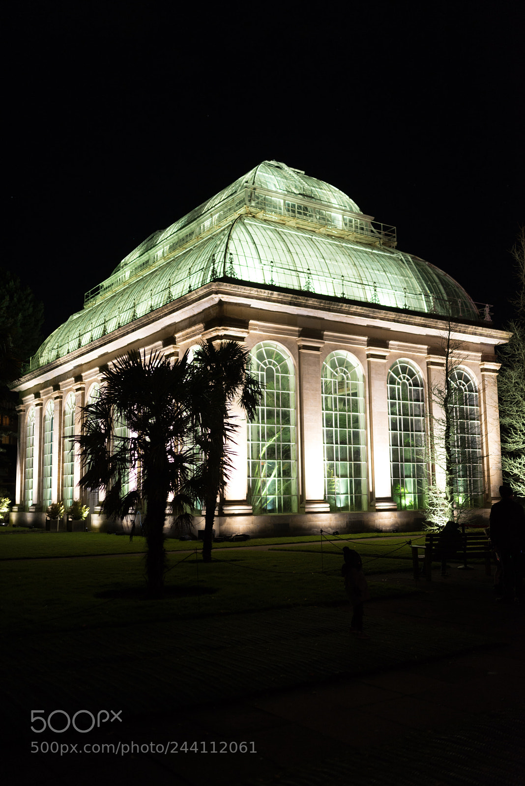 Nikon D610 sample photo. Lit glasshouse photography