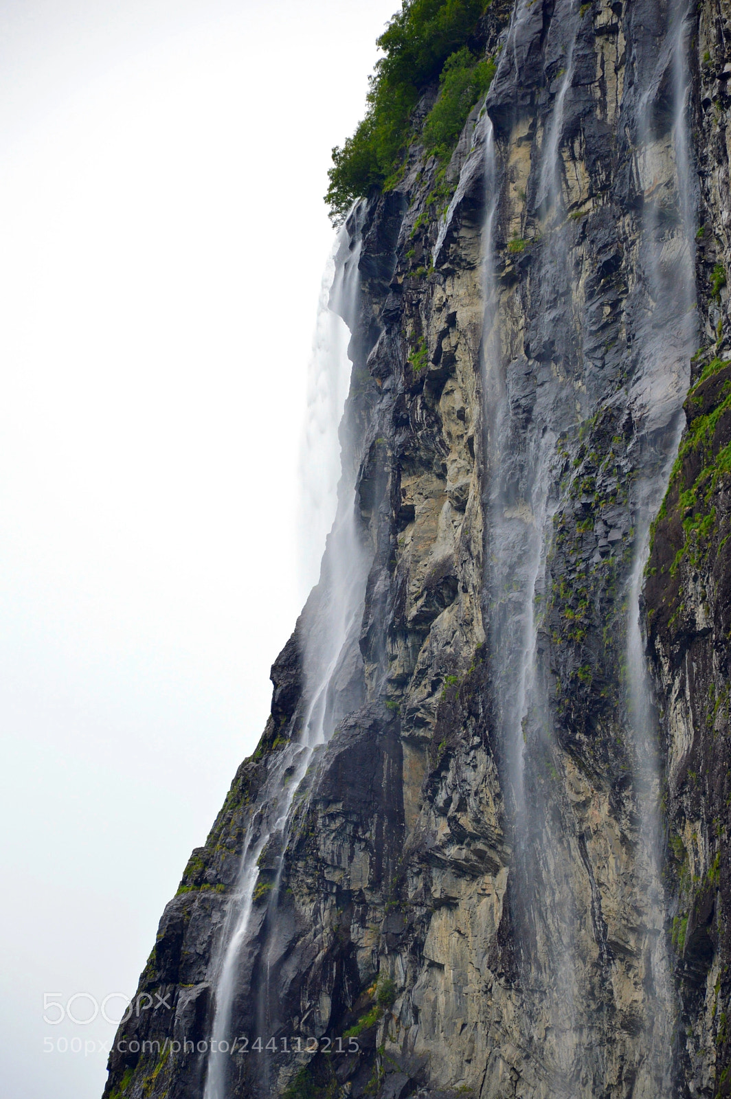 Nikon D3200 sample photo. A close up photography