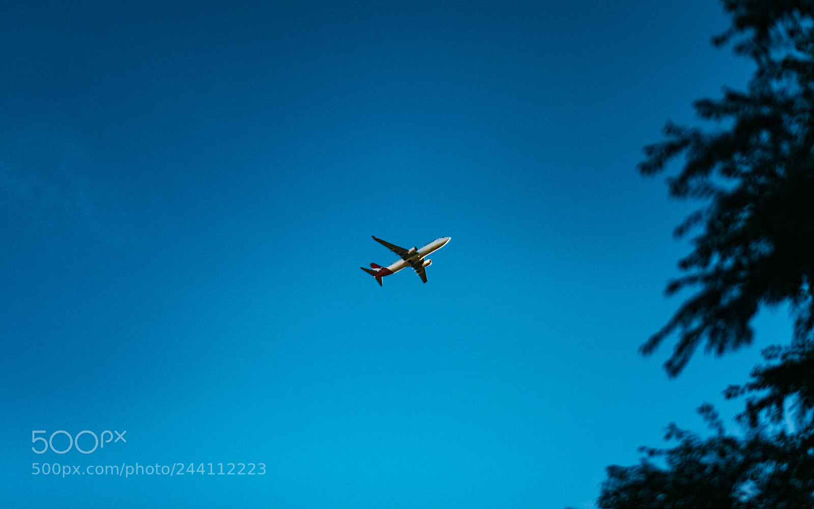 Nikon D810 sample photo. Blue clouds photography