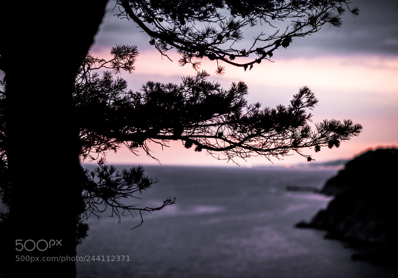 Nikon Df sample photo. [nikon,spain,2014]-13.jpg photography