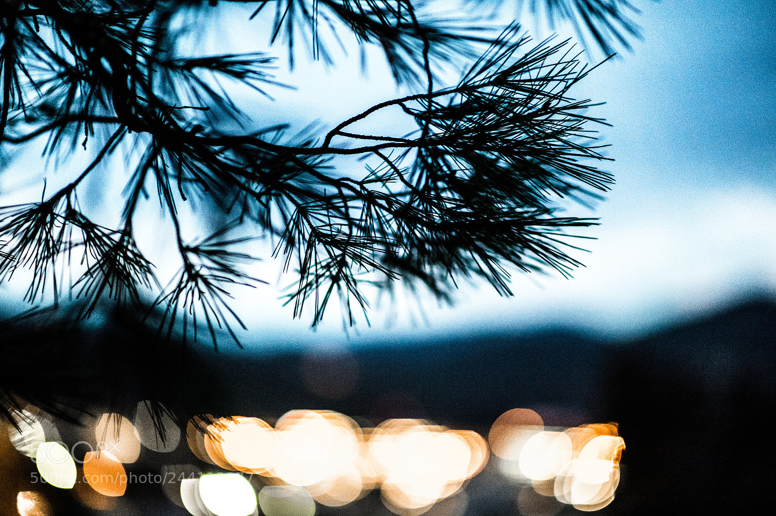 Nikon Df sample photo. [nikon,spain,2014]-16.jpg photography