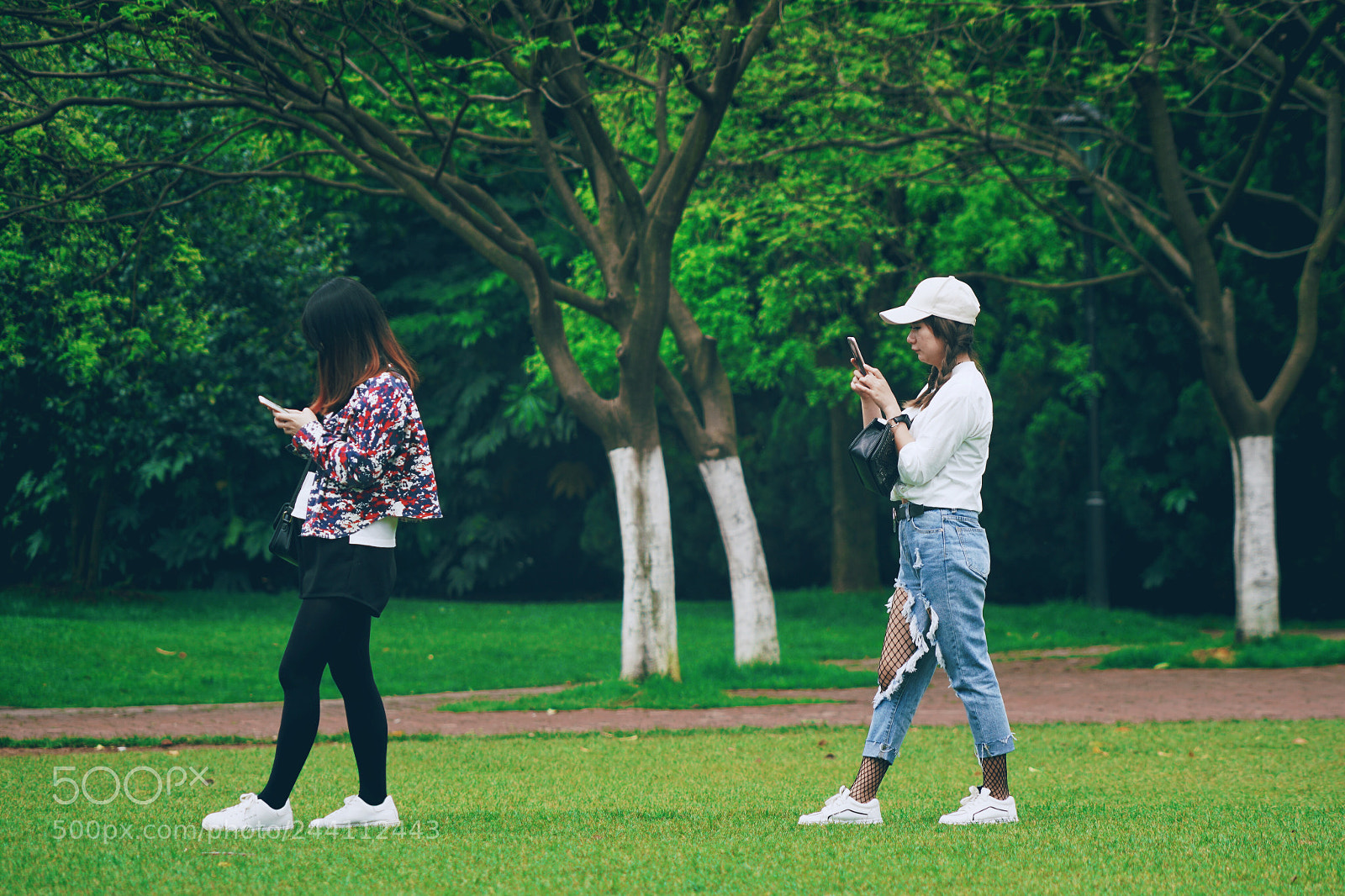 Sony a7R II sample photo. Untitled photography