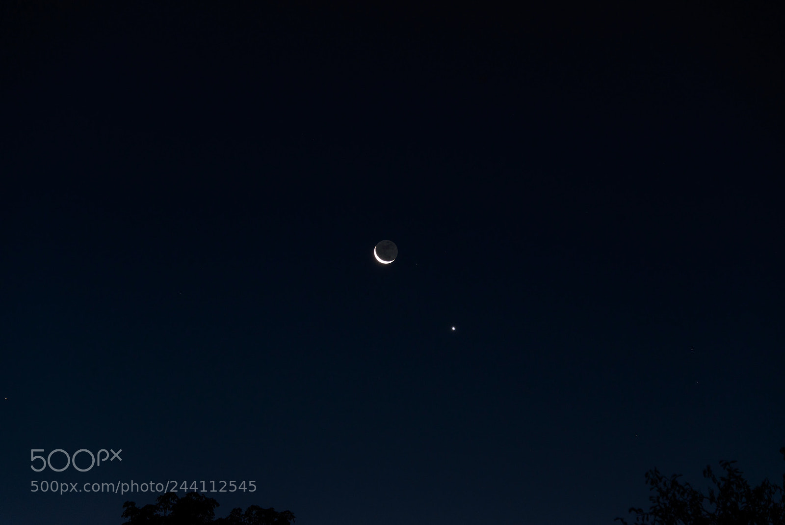 Nikon D800E sample photo. Untitled photography