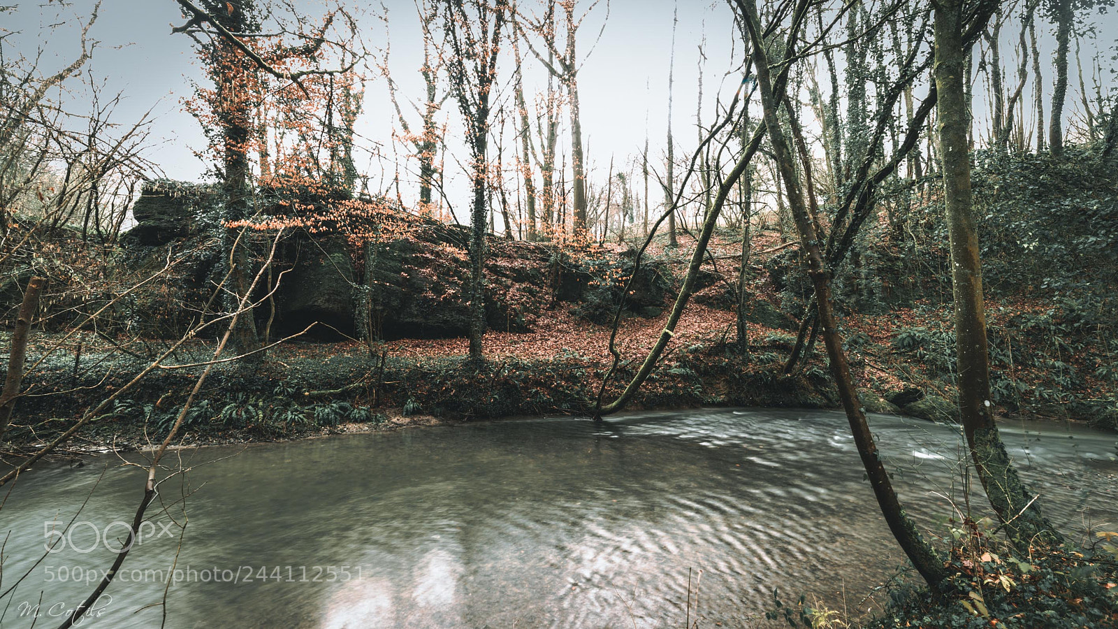 Nikon D610 sample photo. Ballade hivernale photography