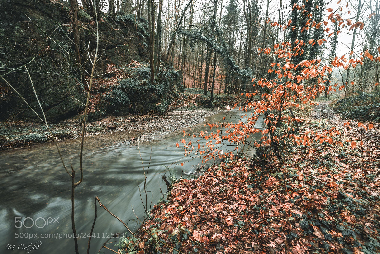 Nikon D610 sample photo. Ballade hivernale photography