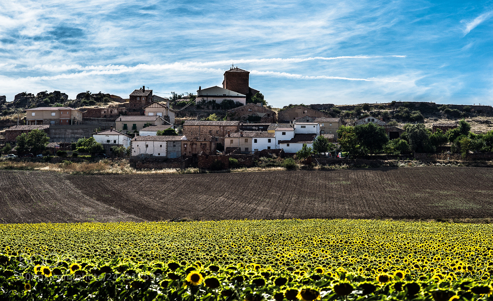 Nikon Df sample photo. [nikon,spain,2014]-29.jpg photography