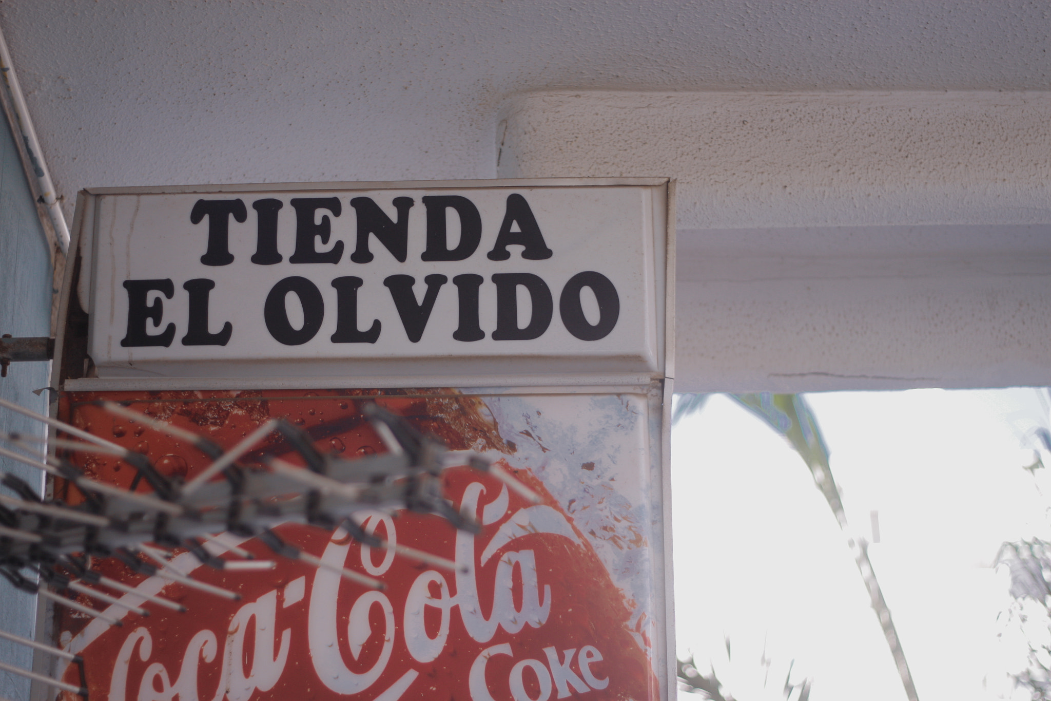 Canon EOS 500D (EOS Rebel T1i / EOS Kiss X3) + Canon EF 50mm f/1.8 sample photo. Spain 2015 photography