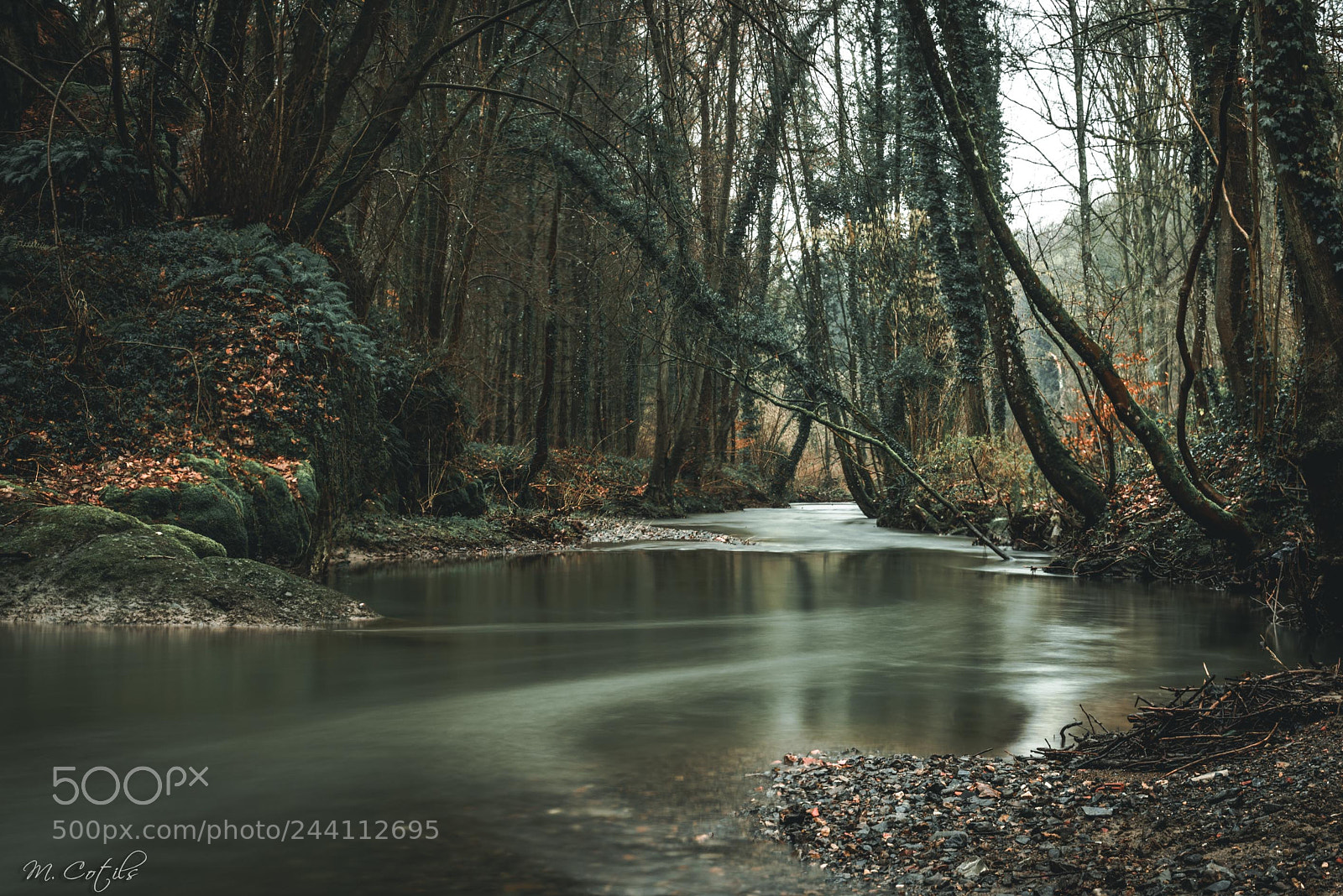 Nikon D610 sample photo. Ballade hivernale photography